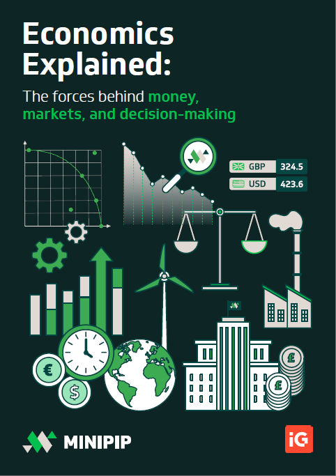 Minipip - Economics Explained PDF Book