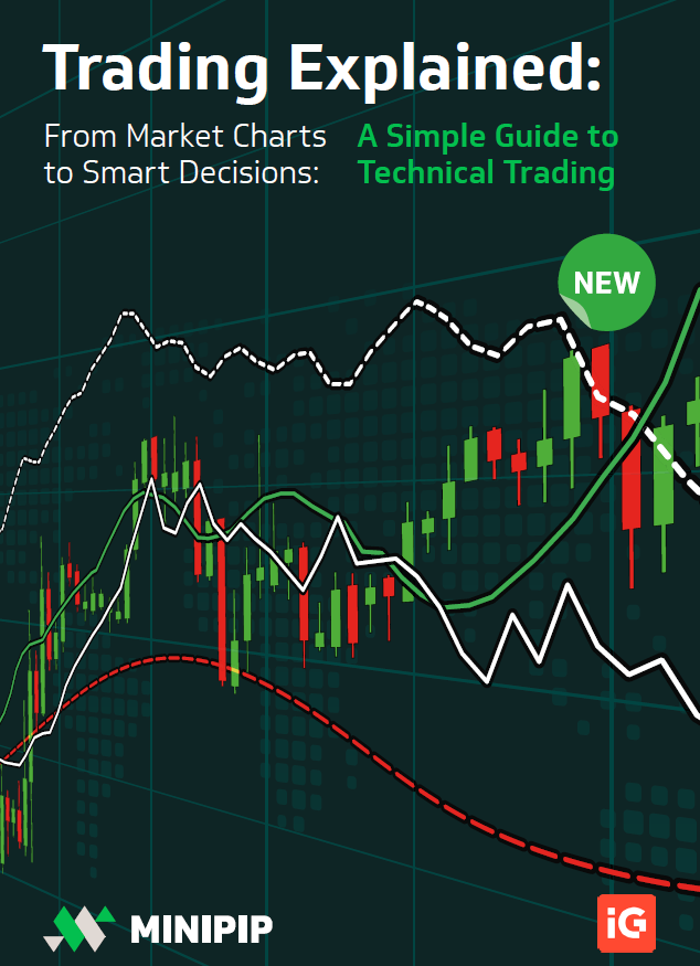 Minipip - Trading Explained PDF Book