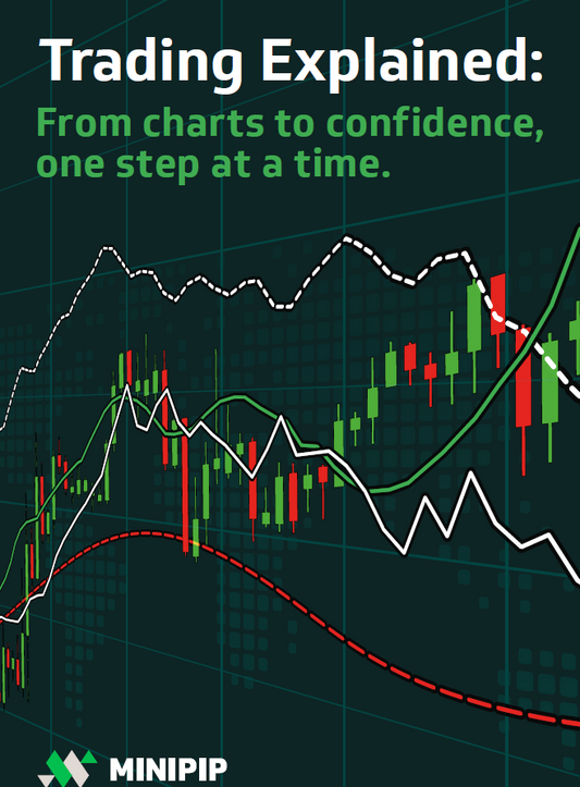 Minipip - Trading Explained