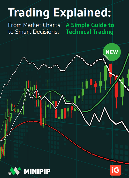 Minipip - Trading Explained PDF Book